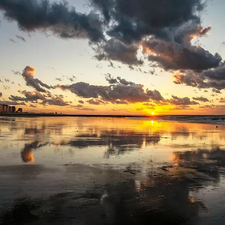 On The 5th Floor With Sea View アパート ミデルケルケ